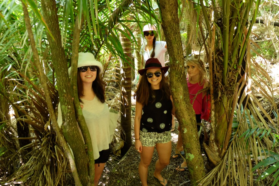 Stroll to the beach, Waiheke