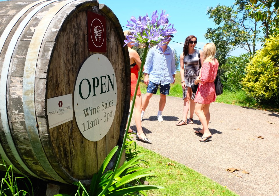 Kennedy Point Vineyard