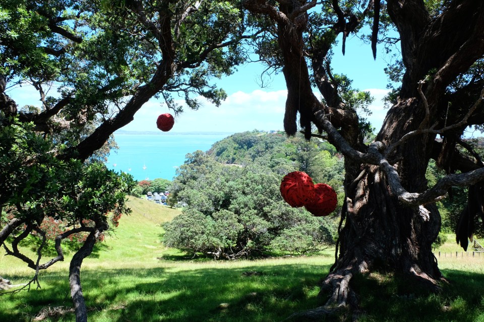 Kennedy Point Vineyard